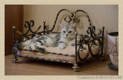 кованый лежак для кошки на заказ
