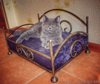кованые кроватки для кошек